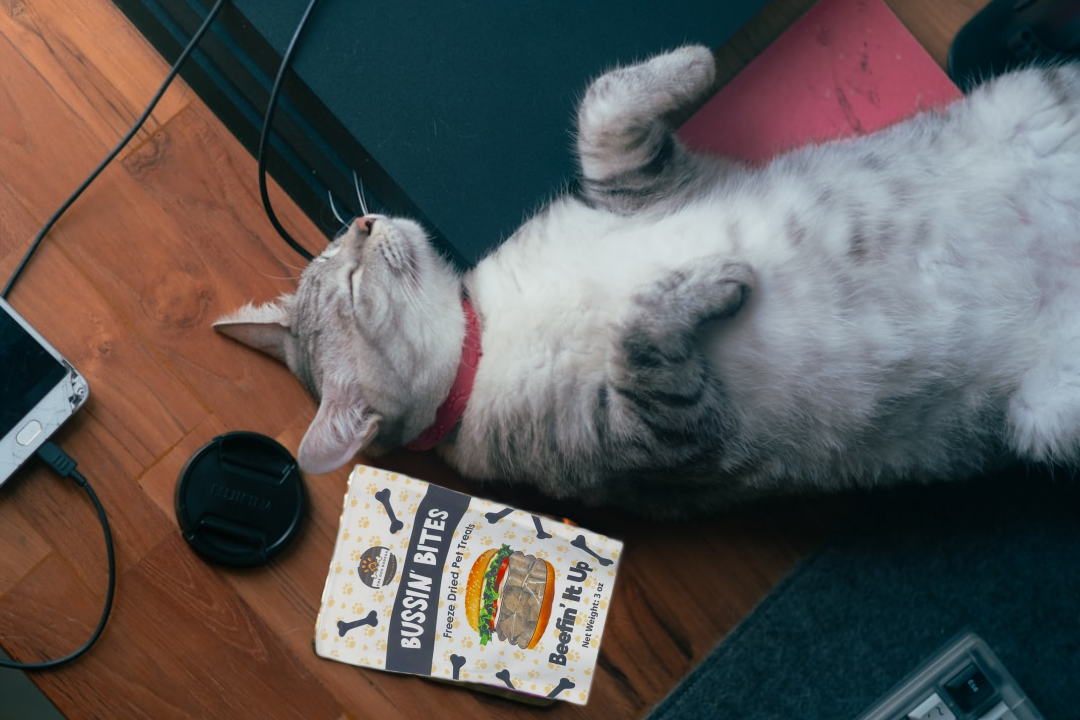 Single Ingredient, High Value Freeze-Dried Training Treats for Dogs & Cats - Beef Liver-2