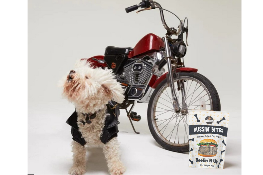 Single Ingredient, High Value Freeze-Dried Training Treats for Dogs & Cats - Beef Liver-4